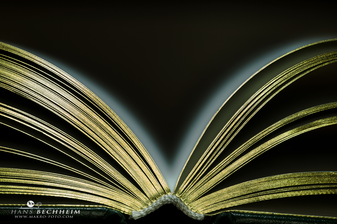 Buch schreiben, autor werden, kindle, Ebook, E-book, veröffentlichen, Veroeffentlichung
